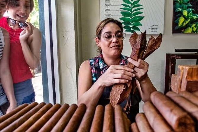 Little Havana Walking Tour + 1 Hour Everglades Airboat Ride - Tour Highlights