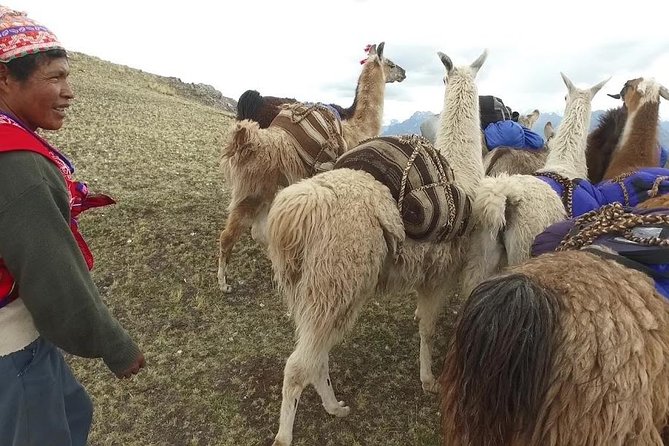 Llama Treck to Huchuy Qosqo 2 Days