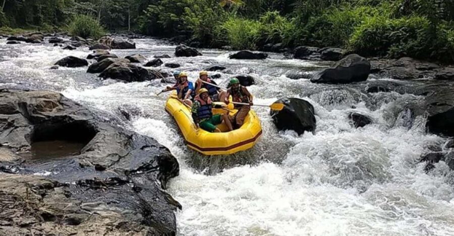 Lombok : White Water Rafting, Rice Terrace & Waterfall Tour