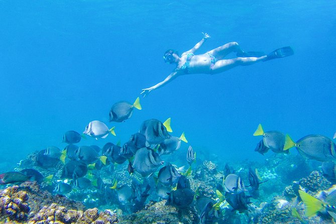 Los Cabos Power Snorkel Adventure, Kayaking and Stand-Up Paddle