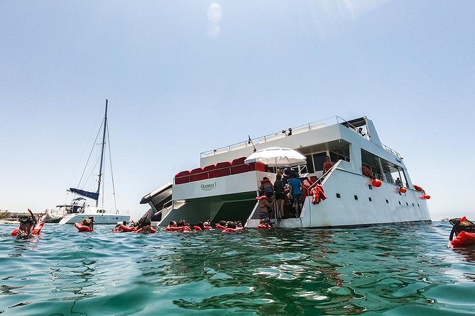 Los Cabos Reef Snorkeling Cruise With Lunch and Open Bar - Inclusions and Fees