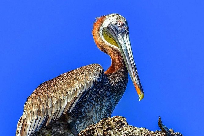 Los Haitises National Park Tour From Punta Cana Montana Redonda and Cano Hondo