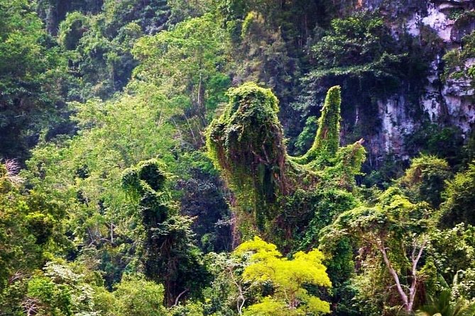 Los Haitises National Park Tour From Punta Cana, Montana Redonda & Cano Hondo