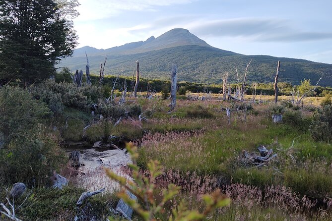 Low Cost Ushuaia National Park Private Tour - Inclusions and Pickup Information