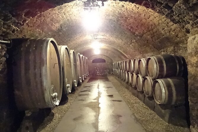 Luxembourg Moselle Day Tour With Wine Tasting