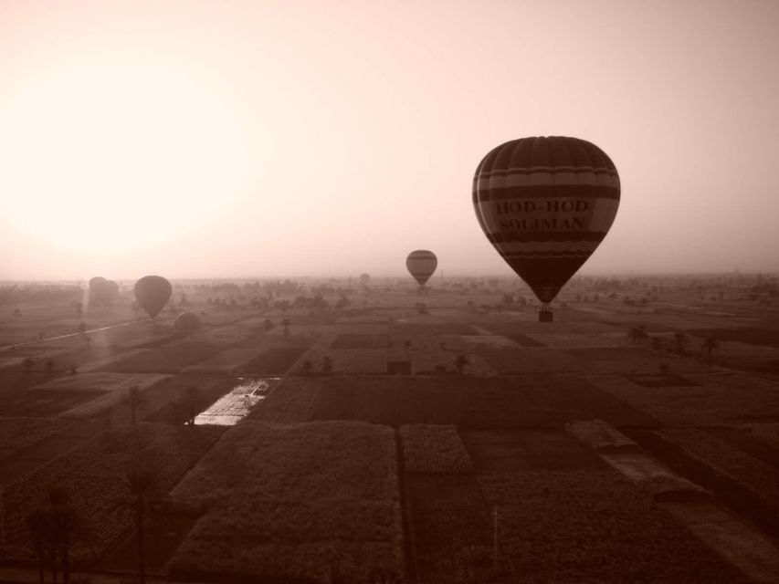 Luxor Highlights Karnak Luxor, Kings V, Hatshepsuite Guided