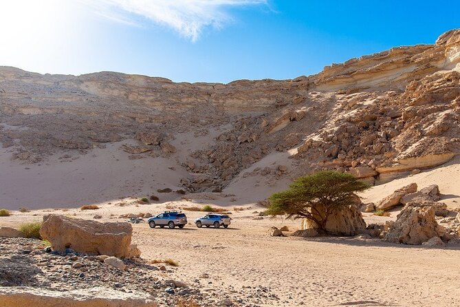 Luxury Desert Safari Tour, Morning & Afternoon From Hurghada - Tour Highlights