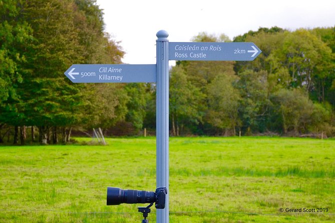 Luxury Photography Day Tour on Dingle Peninsula - Fully Guided and Chauffeured - Tour Overview