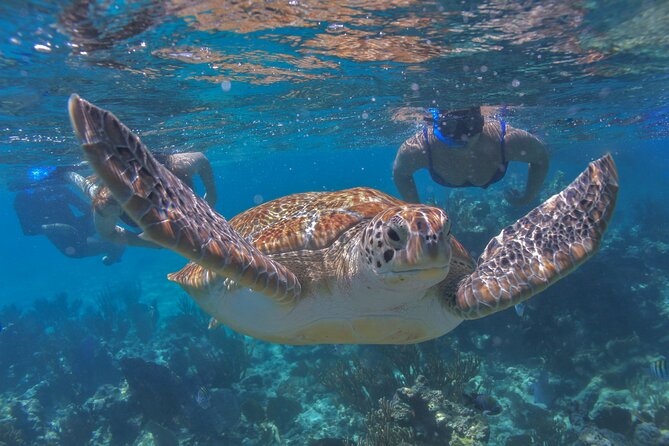 Luxury Sailing & Snorkeling Experience From Riviera Maya