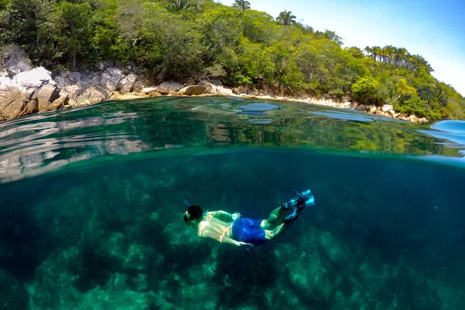 Luxury Yacht & Snorkel Retreat With Premium Open Bar and Lunch - Inclusions and Pricing