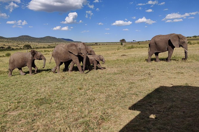 Maasai Mara Safari!!