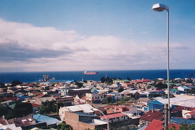 Magallanes Reserva and City Tour. Private Shore Excursion.