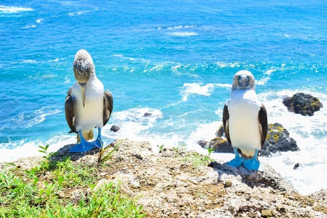 Magnificent Machalilla Park Tour