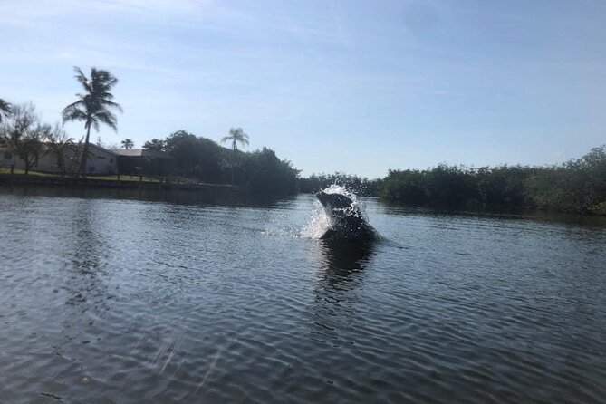Manatee and Dolphin Kayak Tour