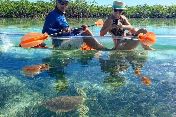 Mangrove Cay Tour
