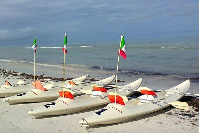 Mangroves Paddling Tour