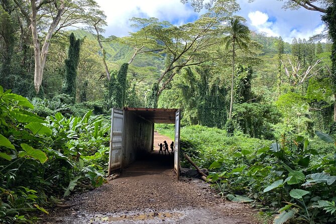 Manoa Falls Waterfall Hike!