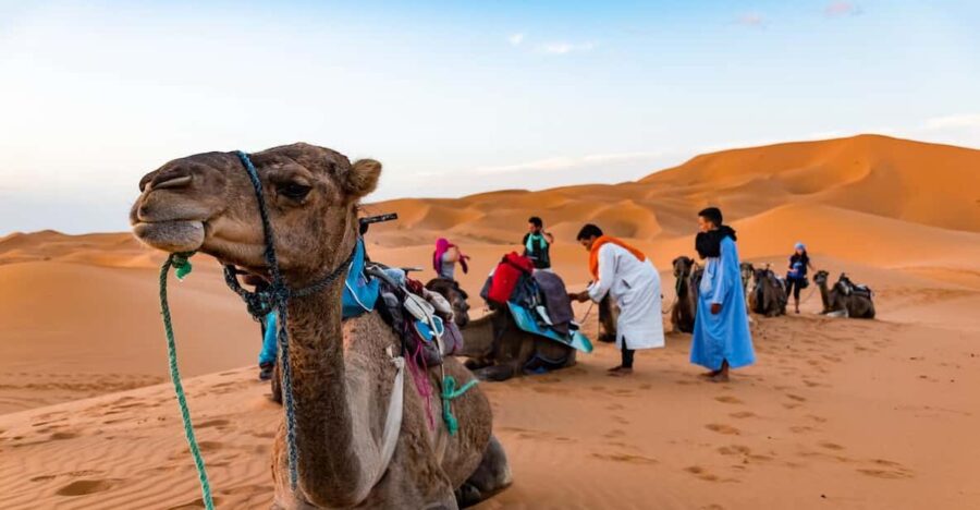 Marrakech: 9-Day Morocco Grand Tour With Accommodation