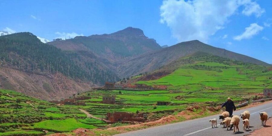 Marrakech: Atlas Mountains Waterfall Tour Quad Biking &Lunch