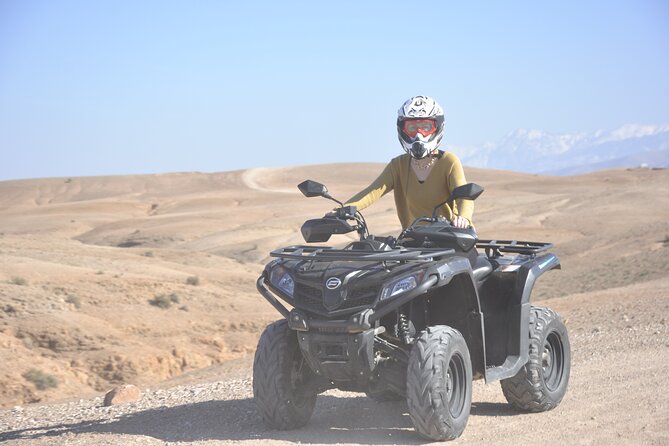 Marrakech: Buggy Ride in the Palm Grove With Tea Break