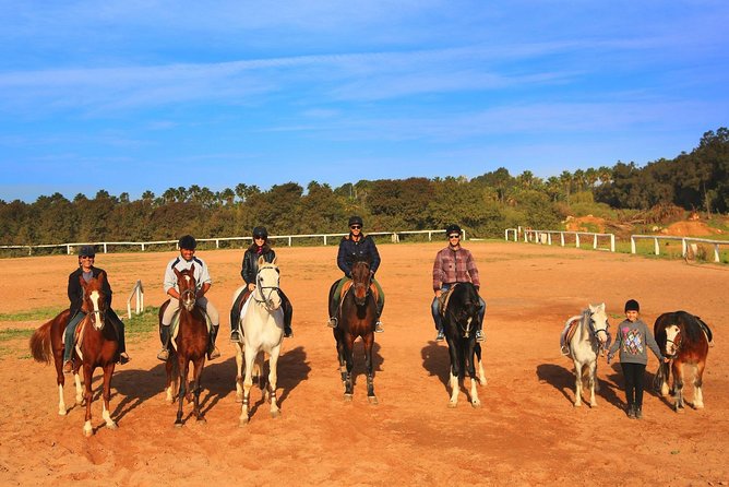 Marrakech Horse Riding - Inclusions and Logistics