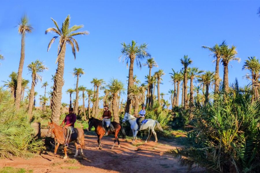 Marrakech: Palm Grove Horseback Riding Tour - Tour Overview