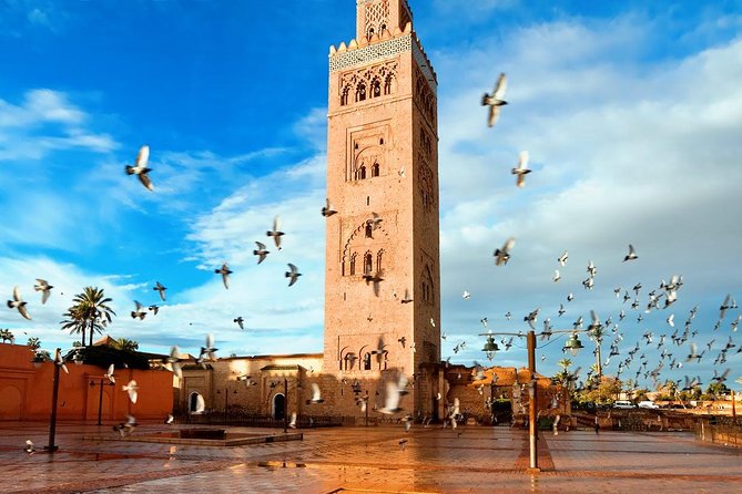 Marrakech Sightseeing Tour With Driver - Overview of the Tour