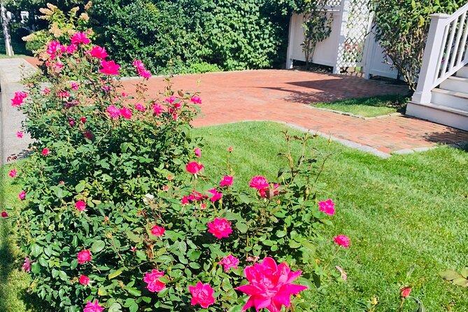 Marthas Vineyard Luxury Tour (2hrs)