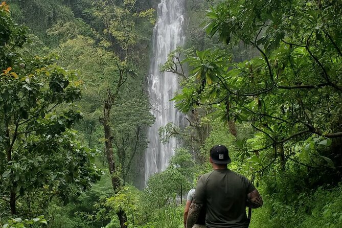 Materuni Waterfall and Coffee Tour ( Fullday).
