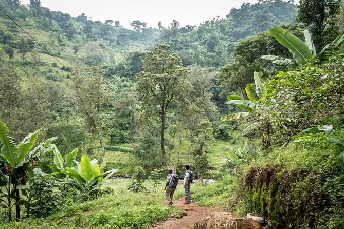 Materuni Waterfall Hike & Coffee Tour