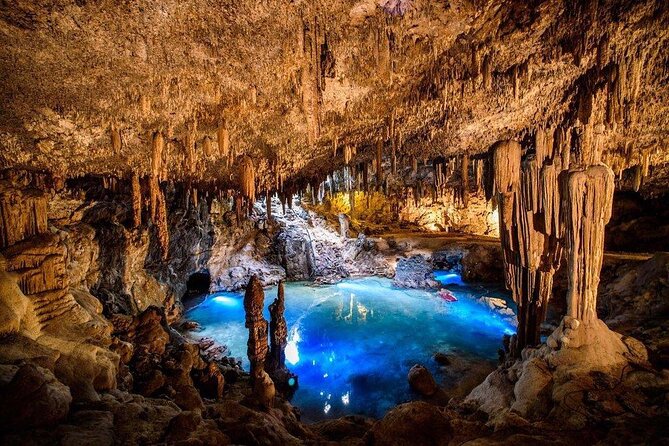 Mayan Underworld Experience (Cenote-Museum)