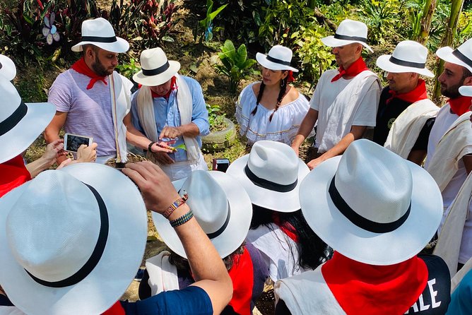 Medellin Coffee Tour With Transfer