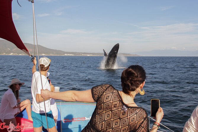 Mega Yacht Whale Watching ALL-Inclusive Daytime Adventure.