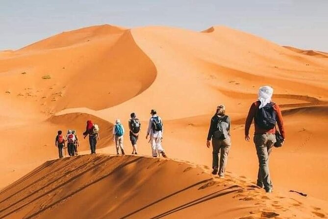 Merzouga Camel Trekking 1 Night Experience