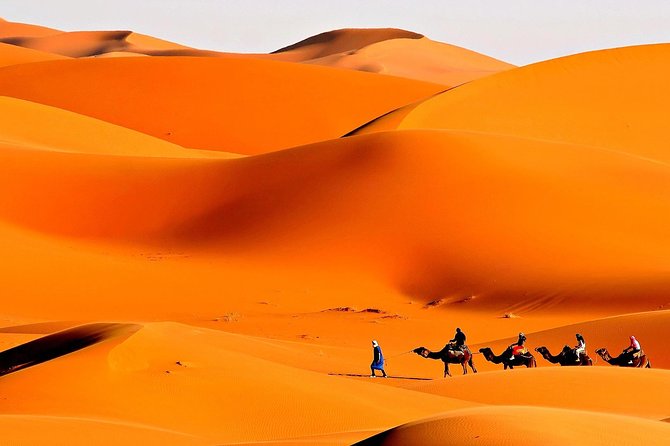 Merzouga Camel Trekking & Overnight Desert Camp
