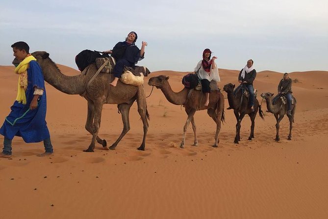 Merzouga Sahara & Erg Chebbi Luxury Bivouac - Immerse in Saharan Splendor