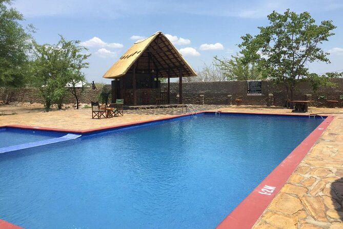 Mikumi National Park 2 Days/ 1 Night