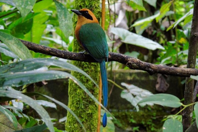 Mindo From Quito – Private Tours