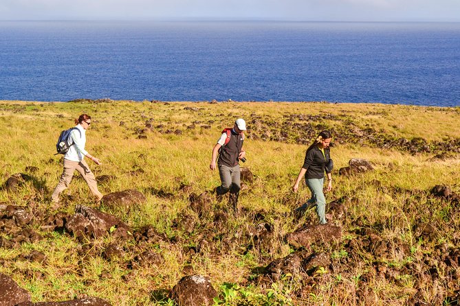Miru: The North Coast Full Day Hike