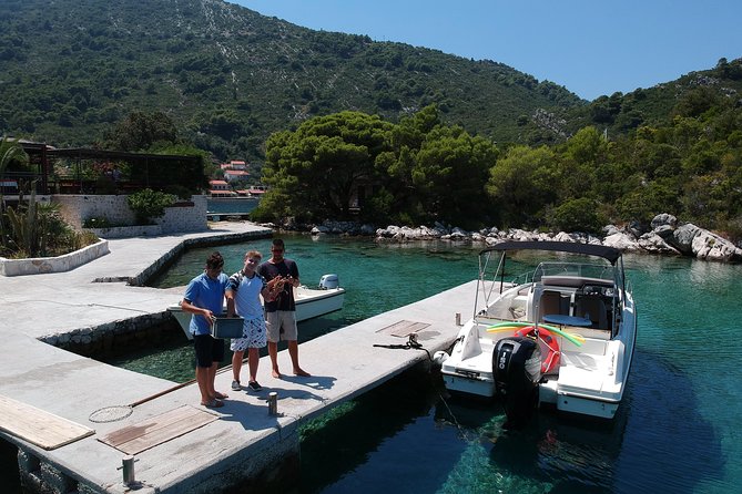 Mljet and North Elaphiti Private Speed Boat Tour Quicksilver 675