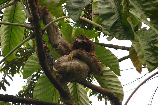 Mono Island and Panama Canal Trail Tour
