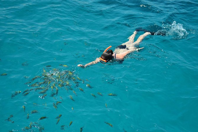 Montego Bay Catamaran Cruise and Snorkeling Tour From Falmouth - Inclusions