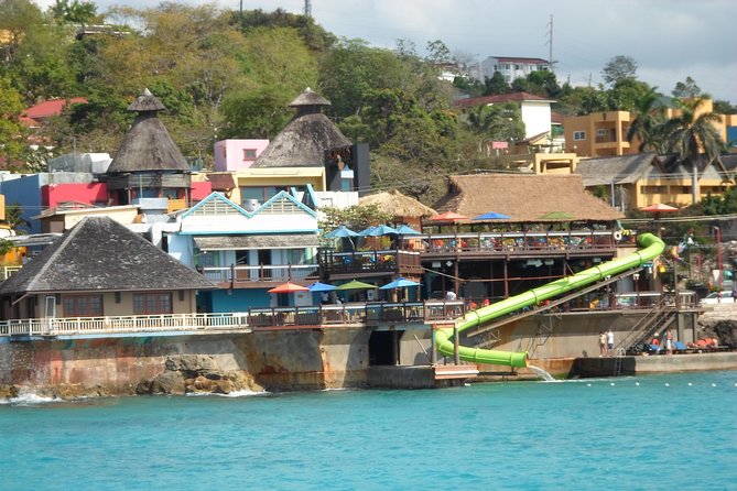 Montego Bay Jamaica Rum Distillery Tour Private Driver - Rum Processing and Sugarcane Cultivation