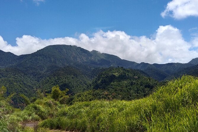 Morne Daiblotin Mountain Climb -Dominicas Tallest