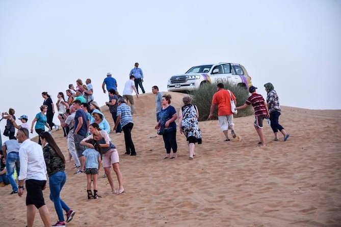 Morning Desert Safari With Quad Bike & Camel Ride Experience