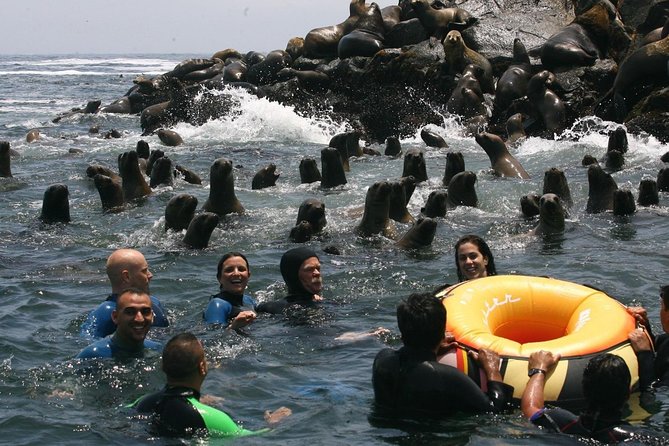 Morning: Palomino Island Tour