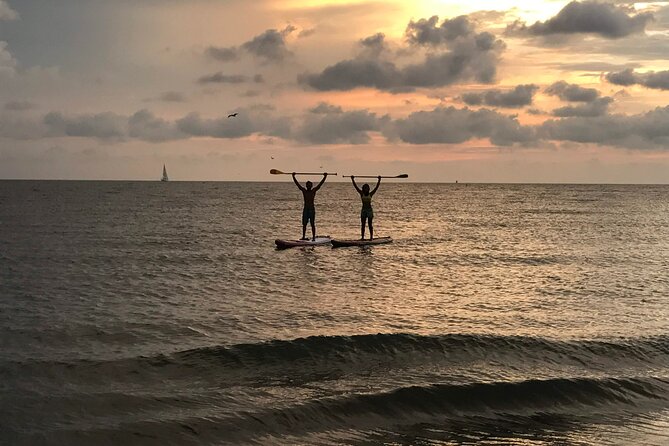 MORNING TOUR Paddleboard or Kayak - Tour Overview