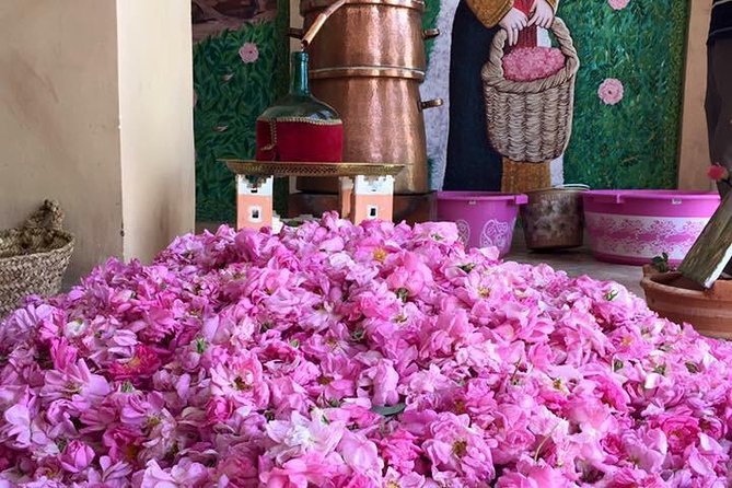 Morocco 11 Days Tour From Casablanca via Sahara Desert