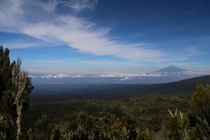 Mount Kilimanjaro Day Hike