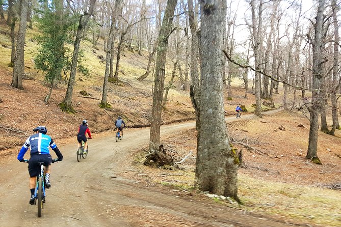 Mountain Bike Adventure in San Martin De Los Andes